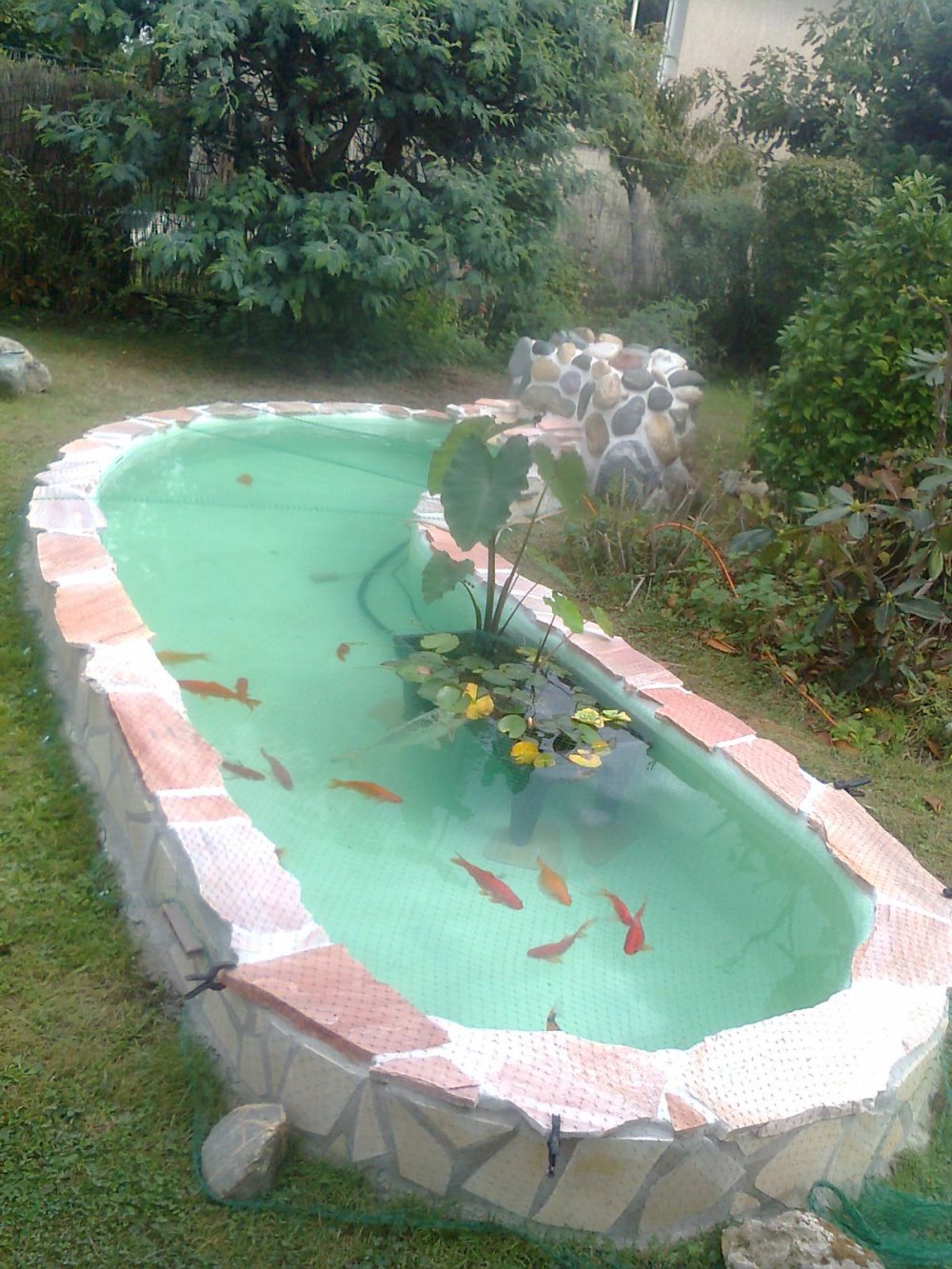 bassin-ornement.jpg